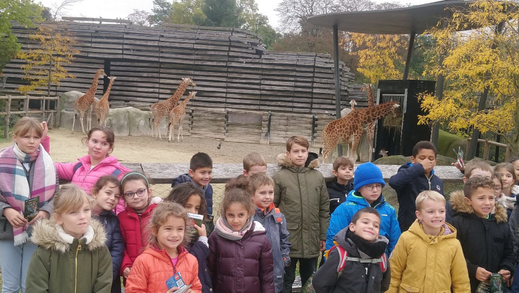Elémentaire - Zoo de Vincennes