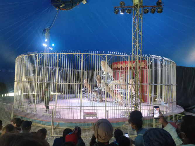 Elémentaire - Zoo Saint Léger