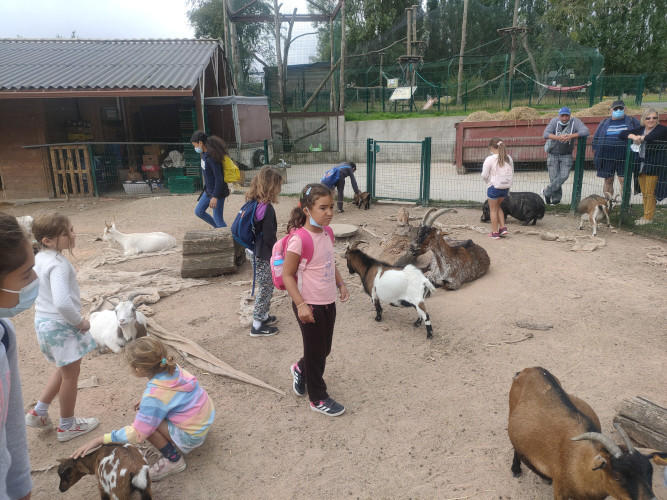 Elémentaire - Zoo Saint Léger