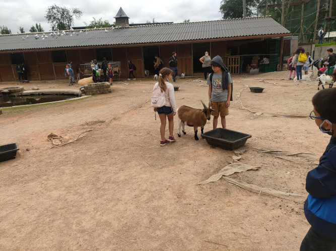 Elémentaire - Zoo Saint Léger