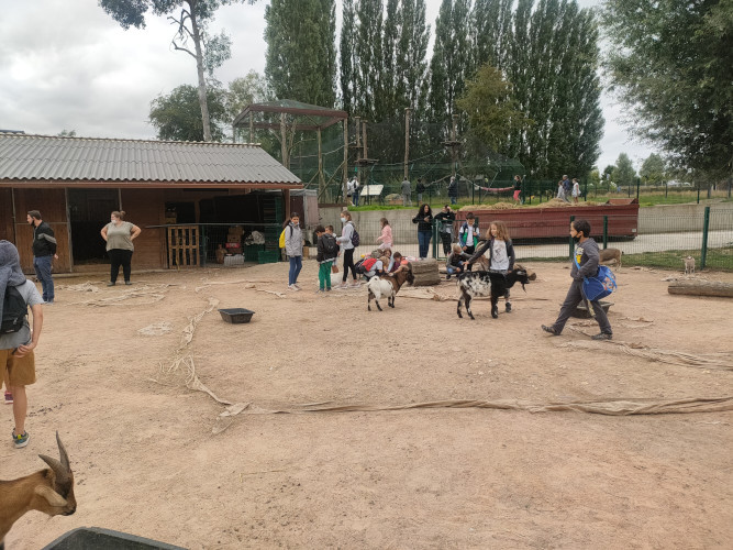 Elémentaire - Zoo Saint Léger