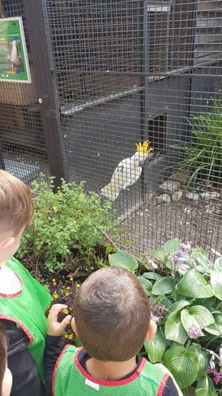 Maternel - Zoo d'Amiens