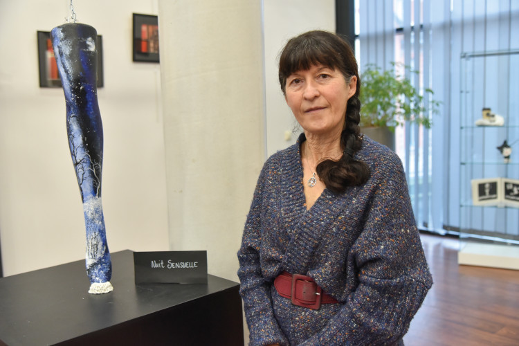 Janvier - Exposition du crépuscule à l'aube avec Laurence Lubet à la médiathèque