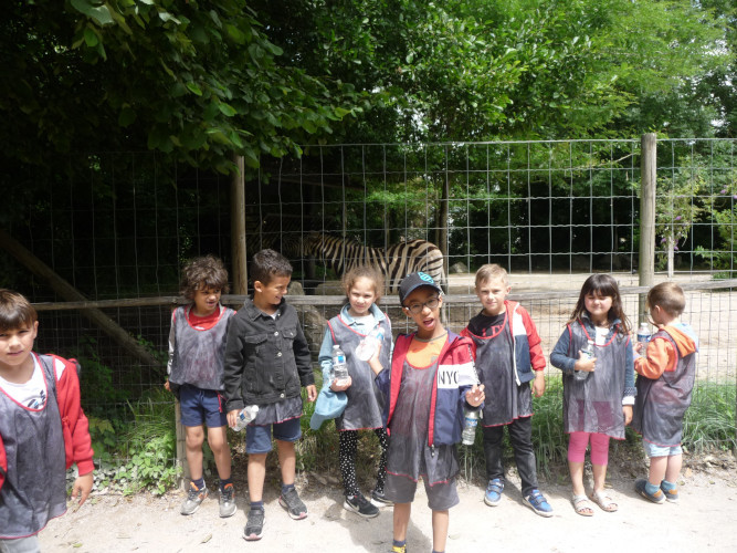 Maternel - Zoo d'Amiens