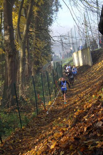 Décembre - Cross au stade des Fauvettes