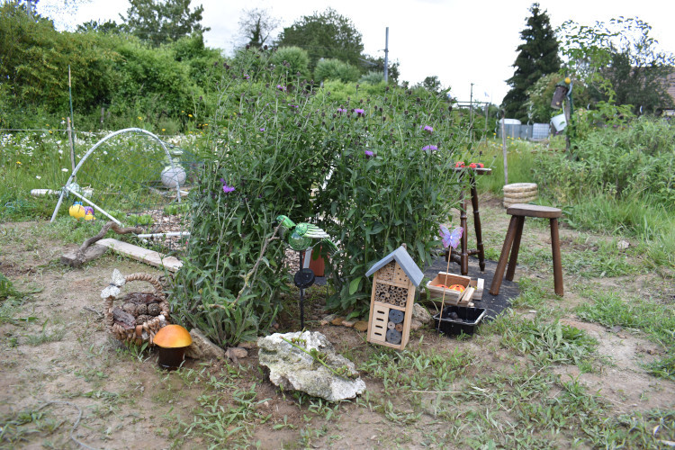 Juin - Portes ouvertes aux jardins d'Alain