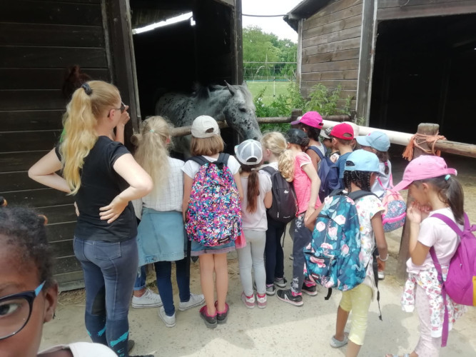 Juillet Elémentaire - Poney club de Bouffémont