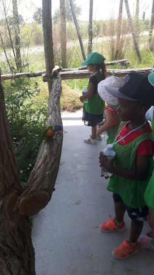 Juillet Maternel - Parc Terre de singes