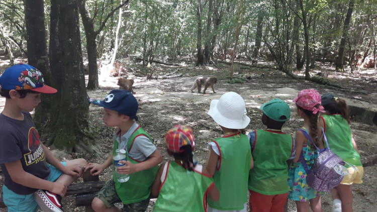 Juillet Maternel - Parc Terre de singes