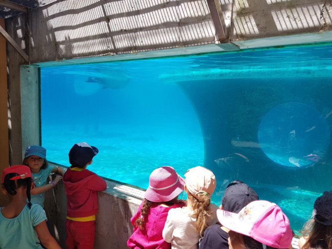 Juillet Maternel - Zoo d'Amiens