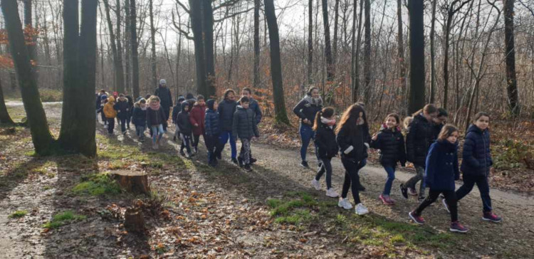 Elémentaire - Sortie en forêt de Saint-Leu