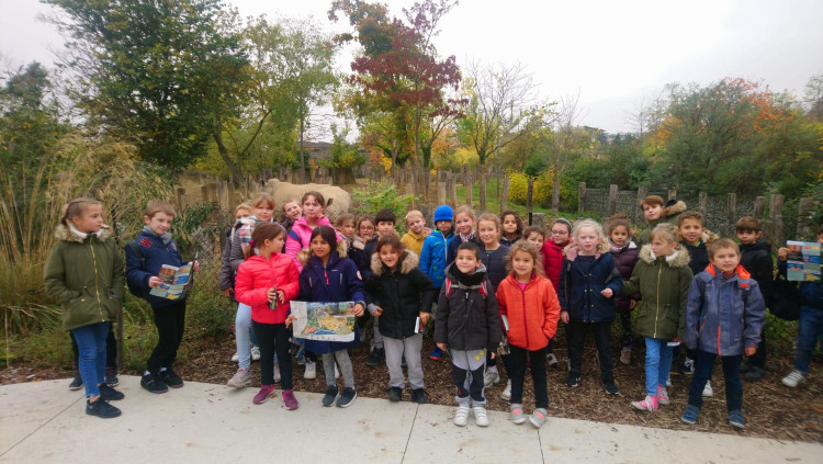 Elémentaire - Zoo de Vincennes