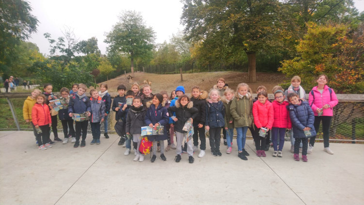 Elémentaire - Zoo de Vincennes