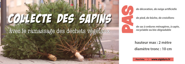 bandeau web_collecte sapin
