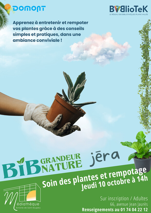 Soin des plantes et rempotage